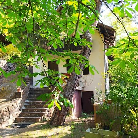 Torre Garden Home - Casa Singola Nella Citta Di Bolzano Con Giardino Privato Exterior photo