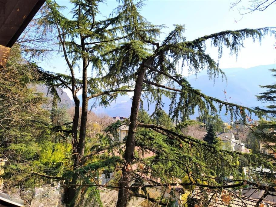 Torre Garden Home - Casa Singola Nella Citta Di Bolzano Con Giardino Privato Exterior photo