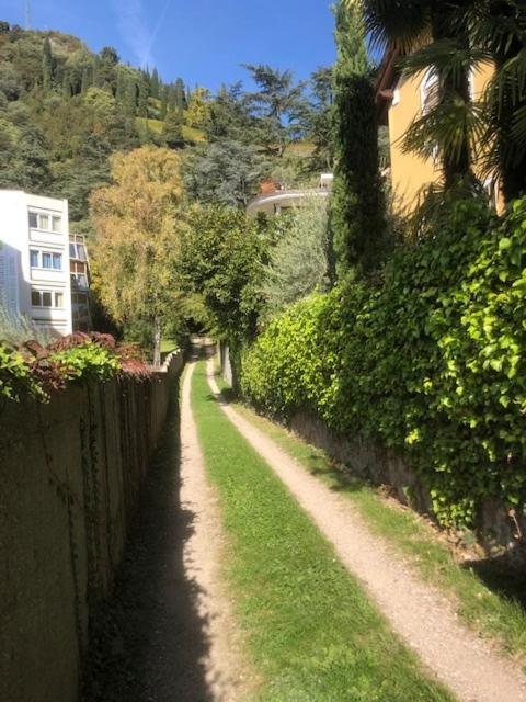 Torre Garden Home - Casa Singola Nella Citta Di Bolzano Con Giardino Privato Exterior photo